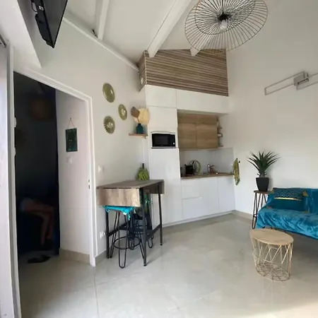 Cap D'Agde-T2 Cabine- 1Ere Ligne Plage Richelieu - Vue Mer Apartament Agde